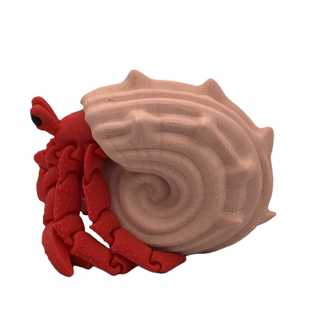 Articulated Hermes, the Hermit Crab_2 Articulated Hermes, the Hermit Crab