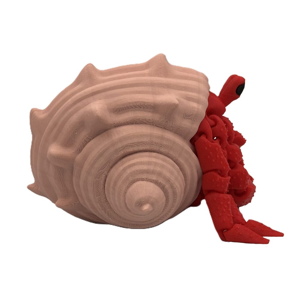 Articulated Hermes, the Hermit Crab_3 Articulated Hermes, the Hermit Crab