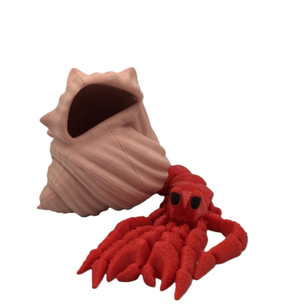 Articulated Hermes, the Hermit Crab_4 Articulated Hermes, the Hermit Crab