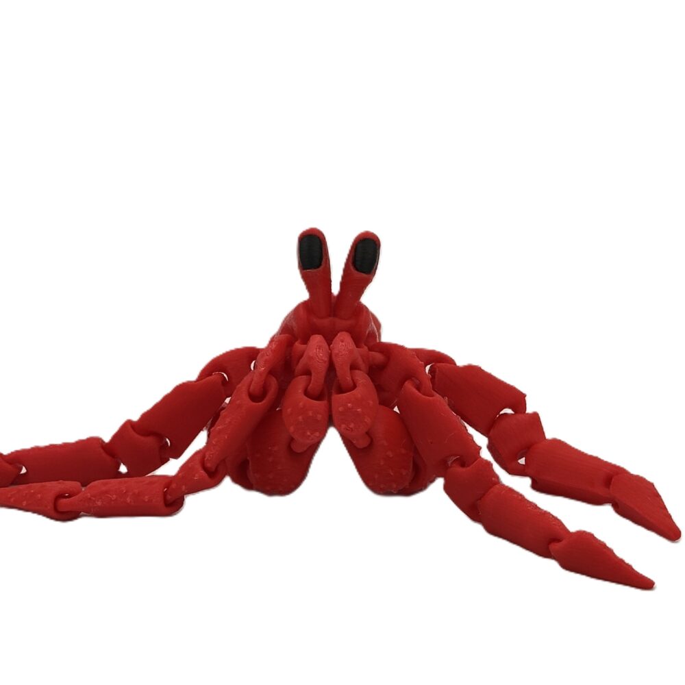 Articulated Hermes, the Hermit Crab_5 Articulated Hermes, the Hermit Crab