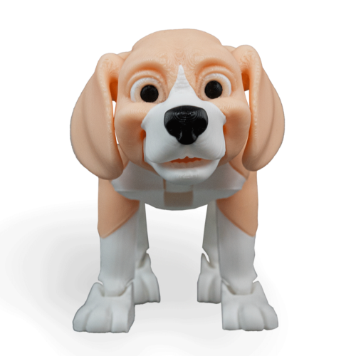 Barry the Beagle_WB_1 Barry, The Beagle