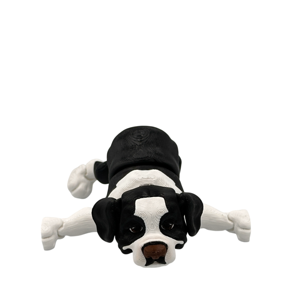 Bernie the St Bernard