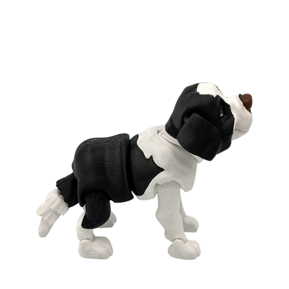 Bernie the St Bernard