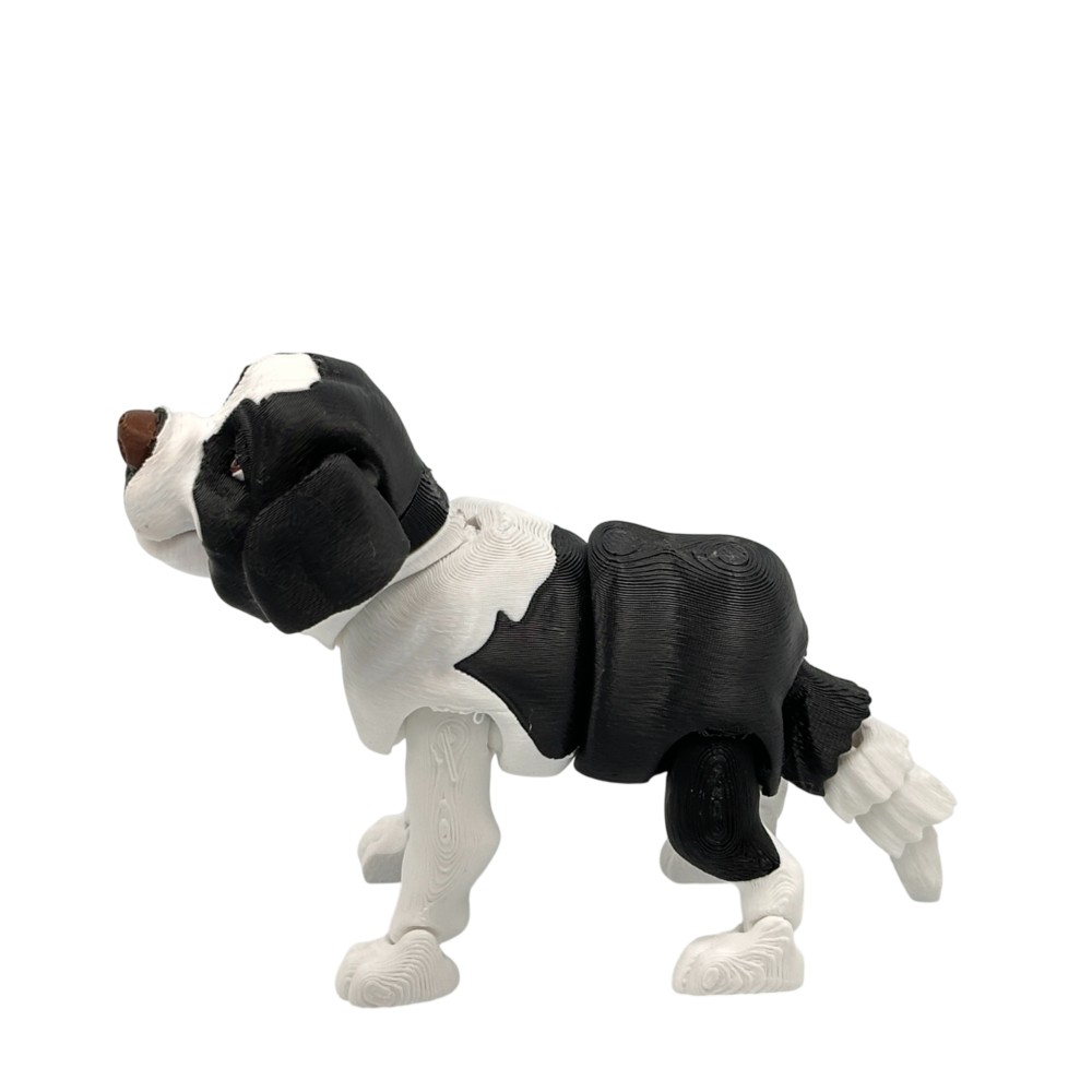 Bernie the St Bernard