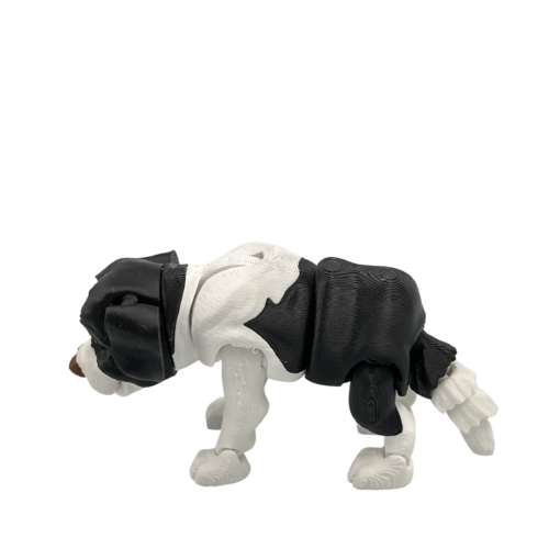 Bernie the St Bernard
