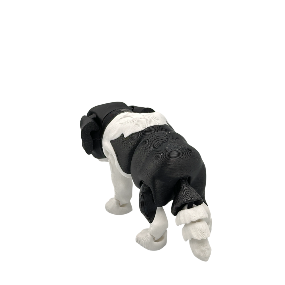 Bernie the St Bernard