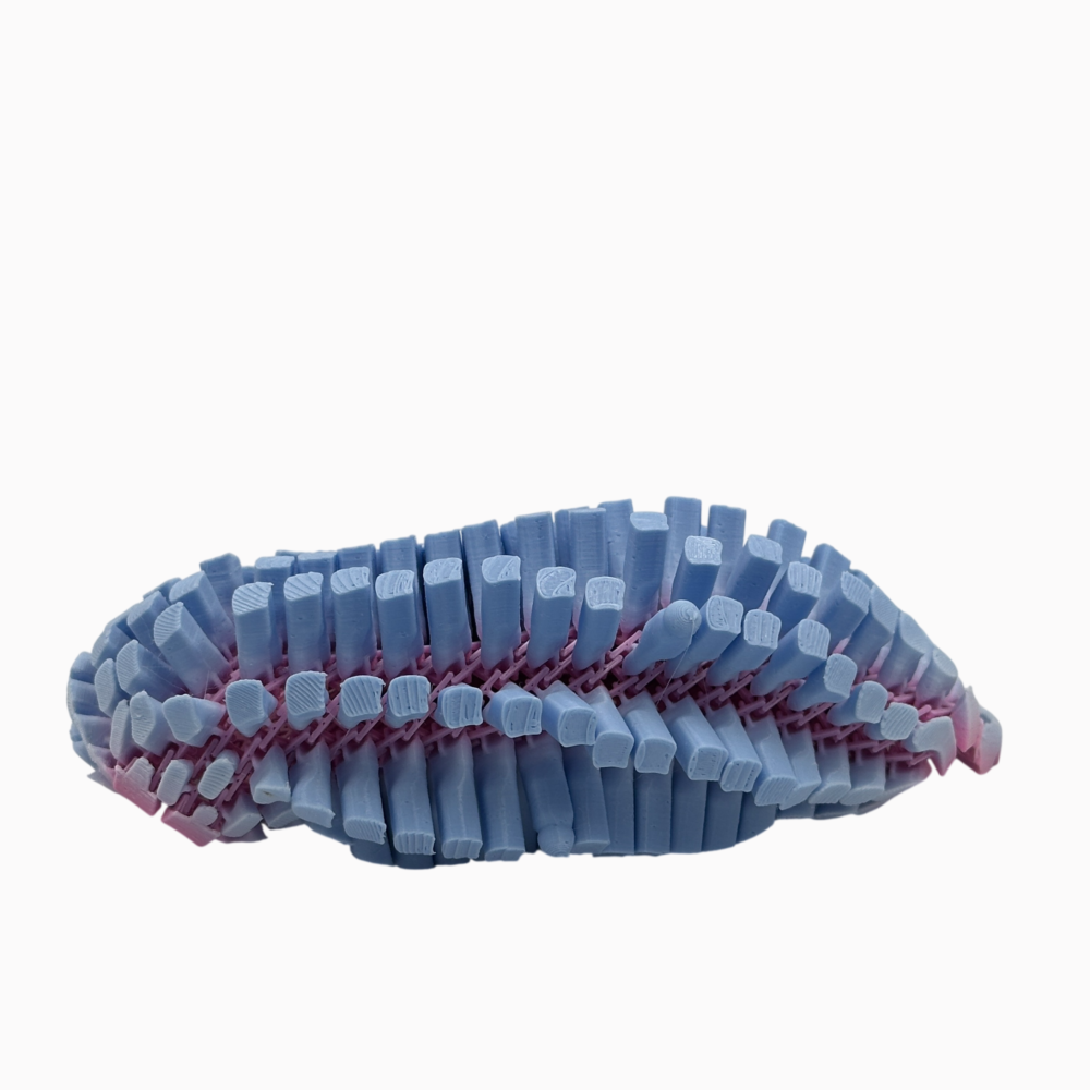 Betsie Bat Sea Star - Mesh-like Fidget Animal - Blue