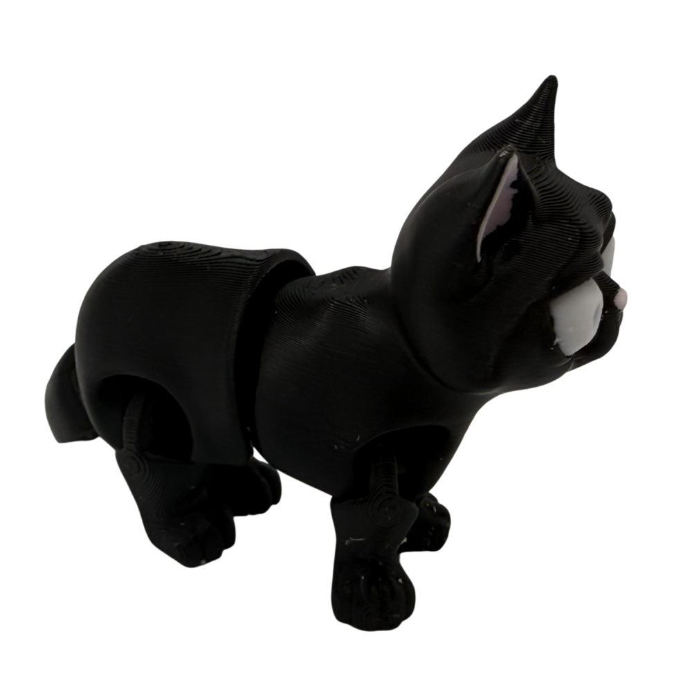 Busya the Cat - Black