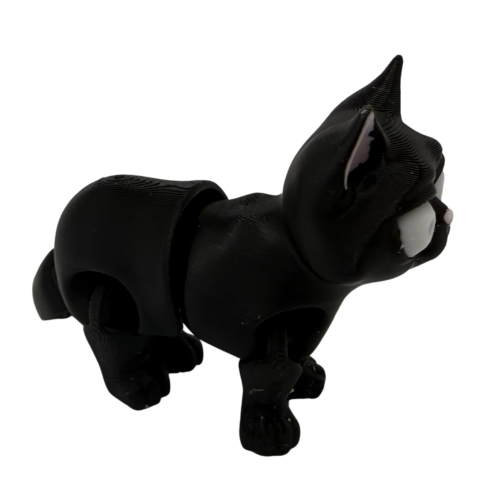 Busya the Cat - Black