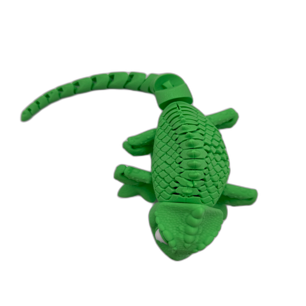 Chameleon