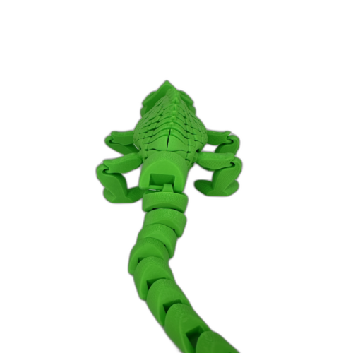 Chameleon