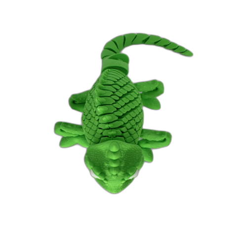 Chameleon