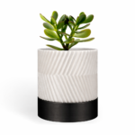 Cylindrix Diagonal Indoor Wall Planter