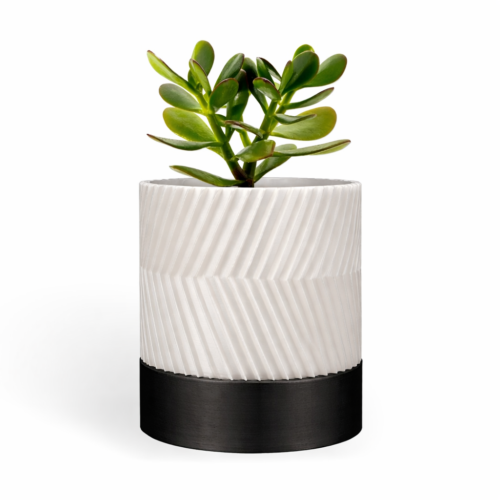 Cylindrix Diagonal Indoor Wall Planter