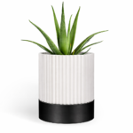 Cylindrix Straight Indoor Wall Planter