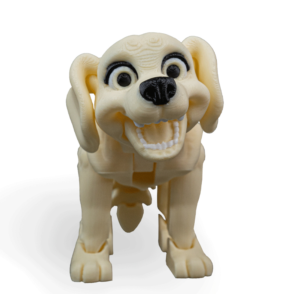 Darla, The Labrador