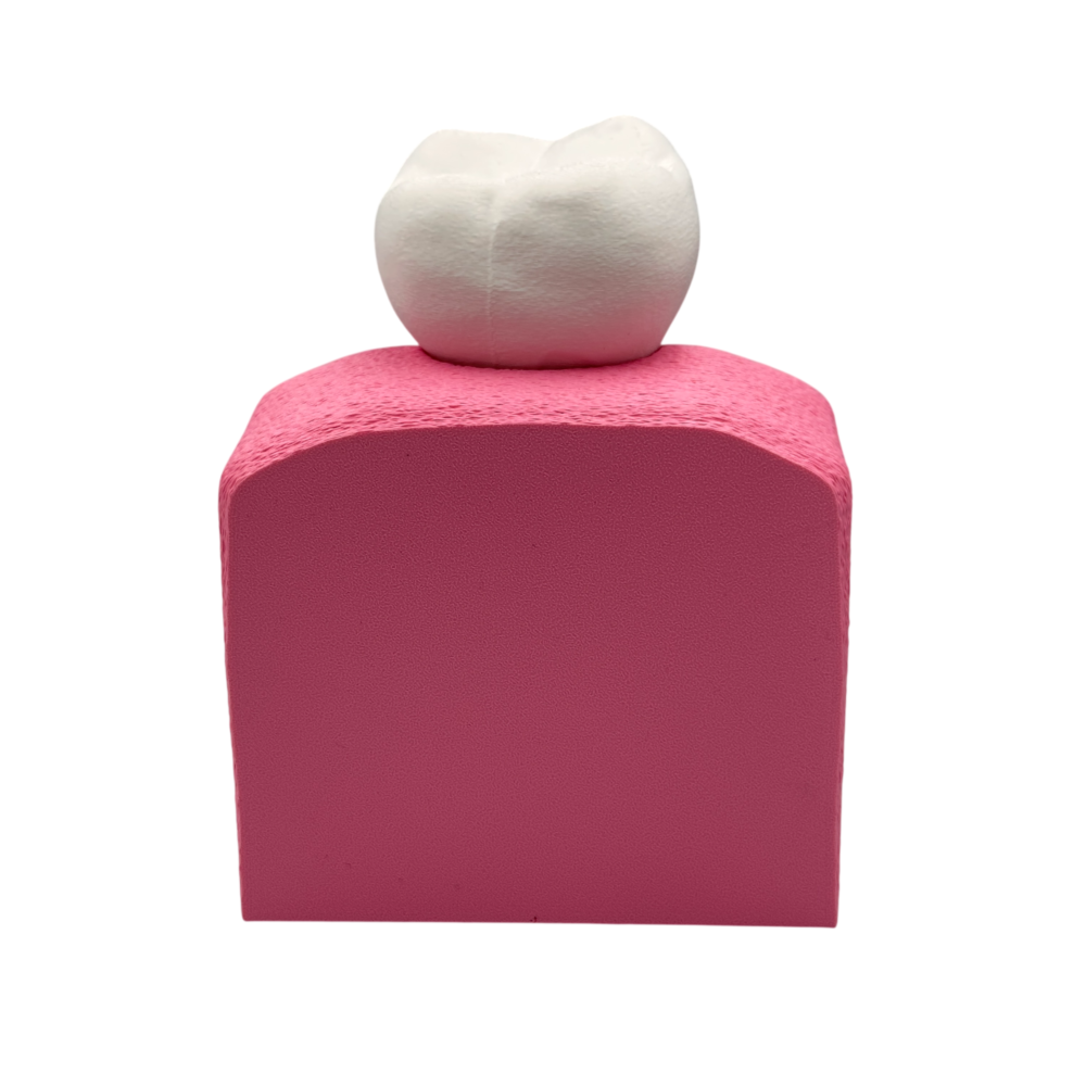 Interactive Dental Implant Anatomical Model