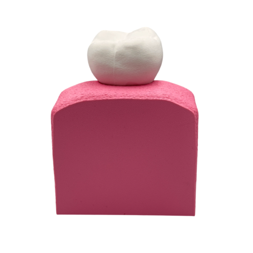 Interactive Dental Implant Anatomical Model