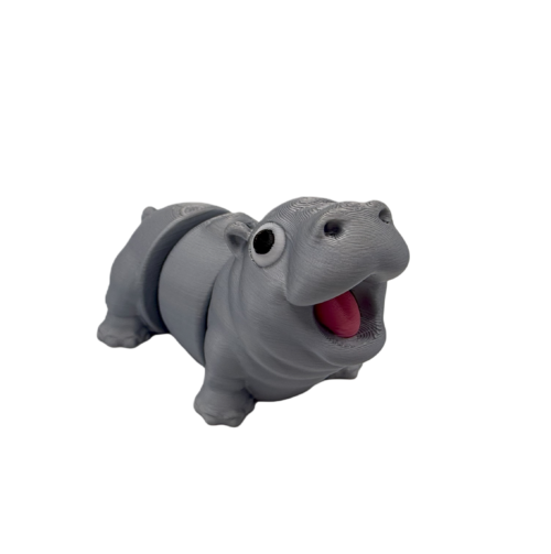 Expressive Hippo Keyring