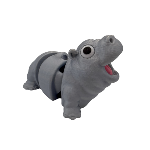 Expressive Hippo Keyring