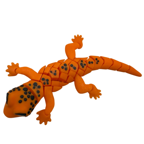 Gecko