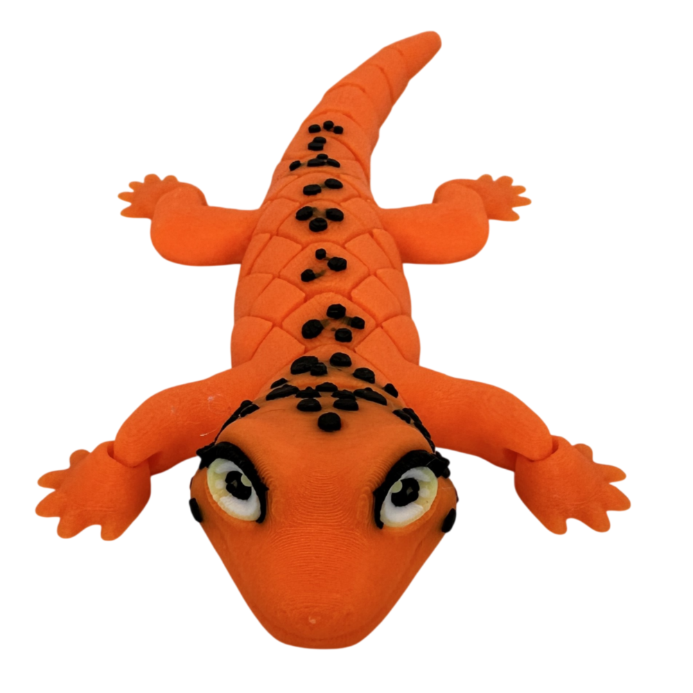 Gecko