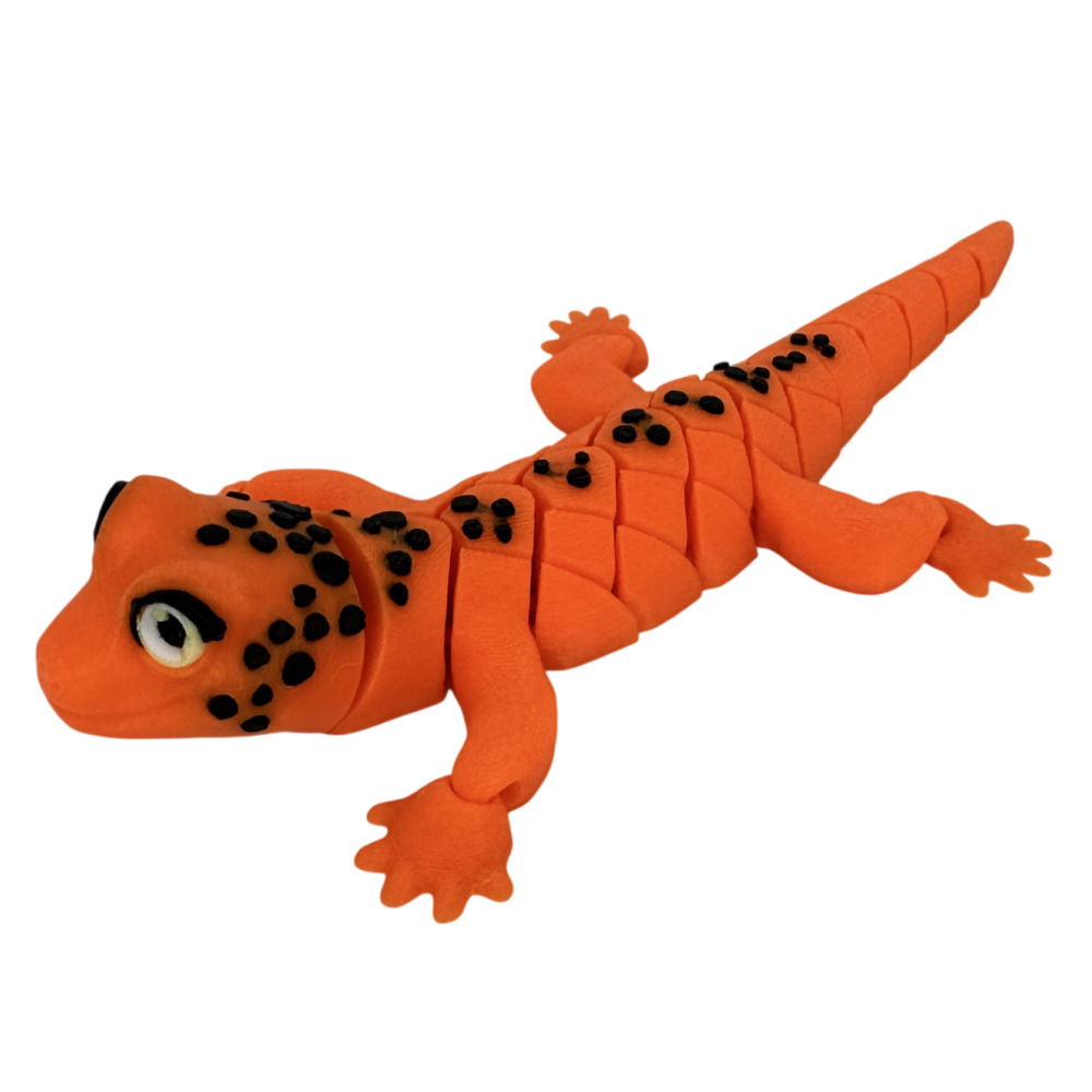 Gecko