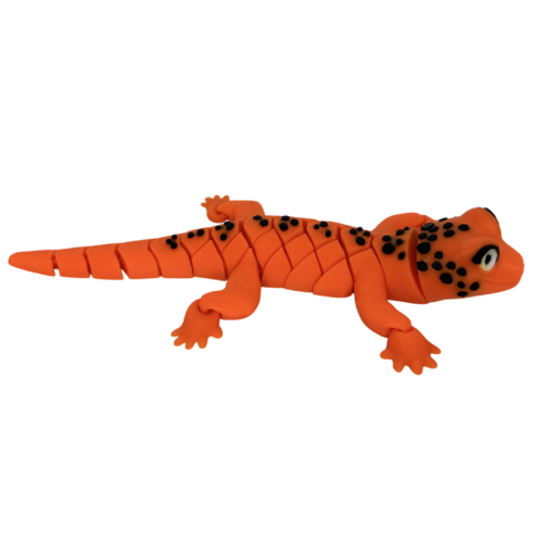 Gecko