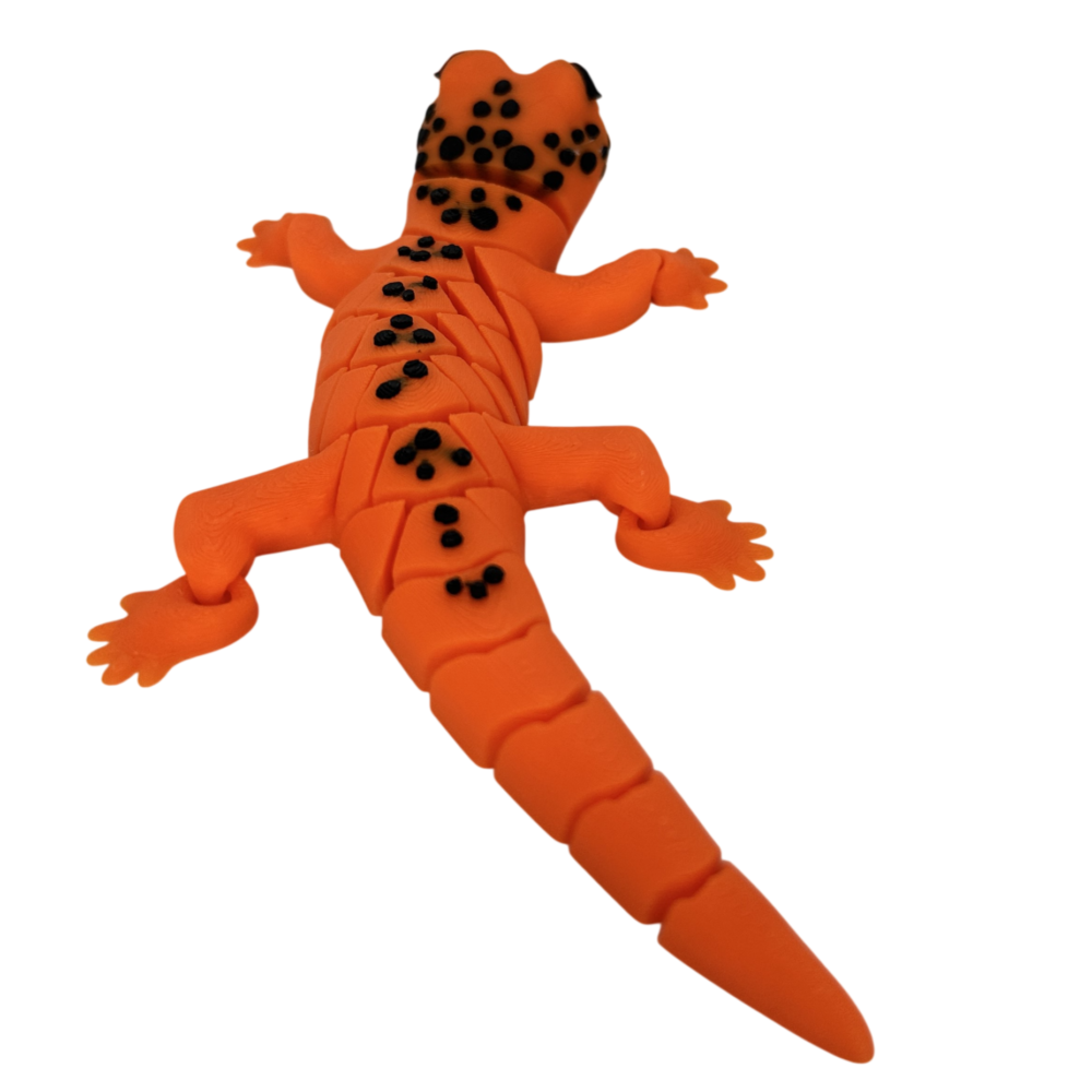 Gecko