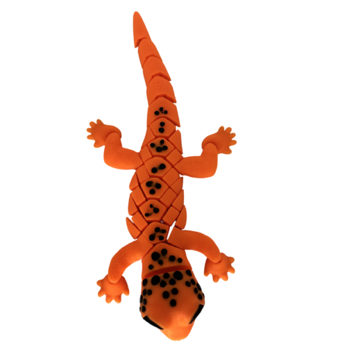 Gecko