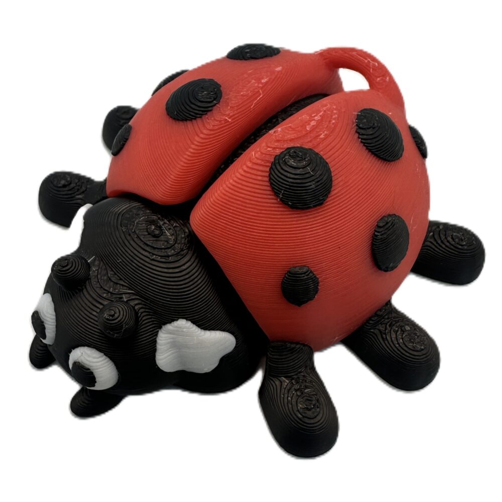 Ladybug Keyring