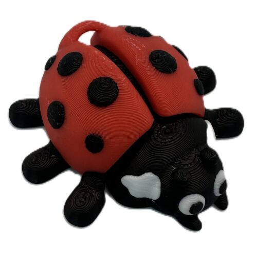 Ladybug Keyring
