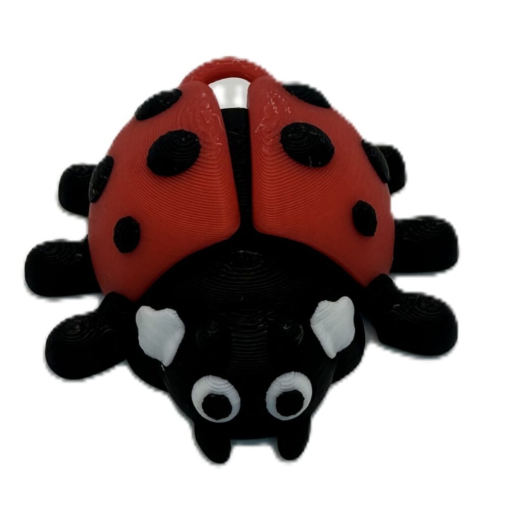 Ladybug Keyring