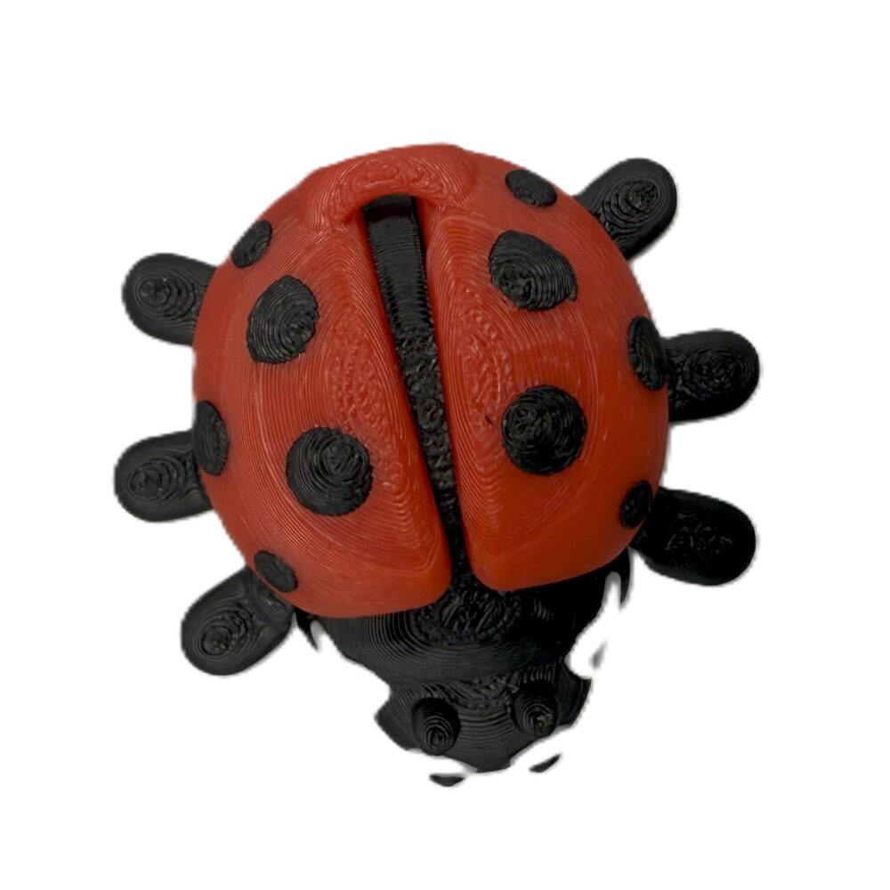 Ladybug Keyring