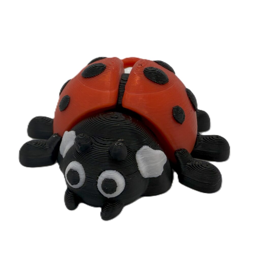 Ladybug Keyring