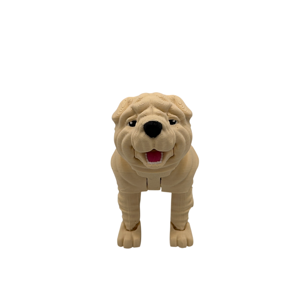 Louis, the Shar Pei