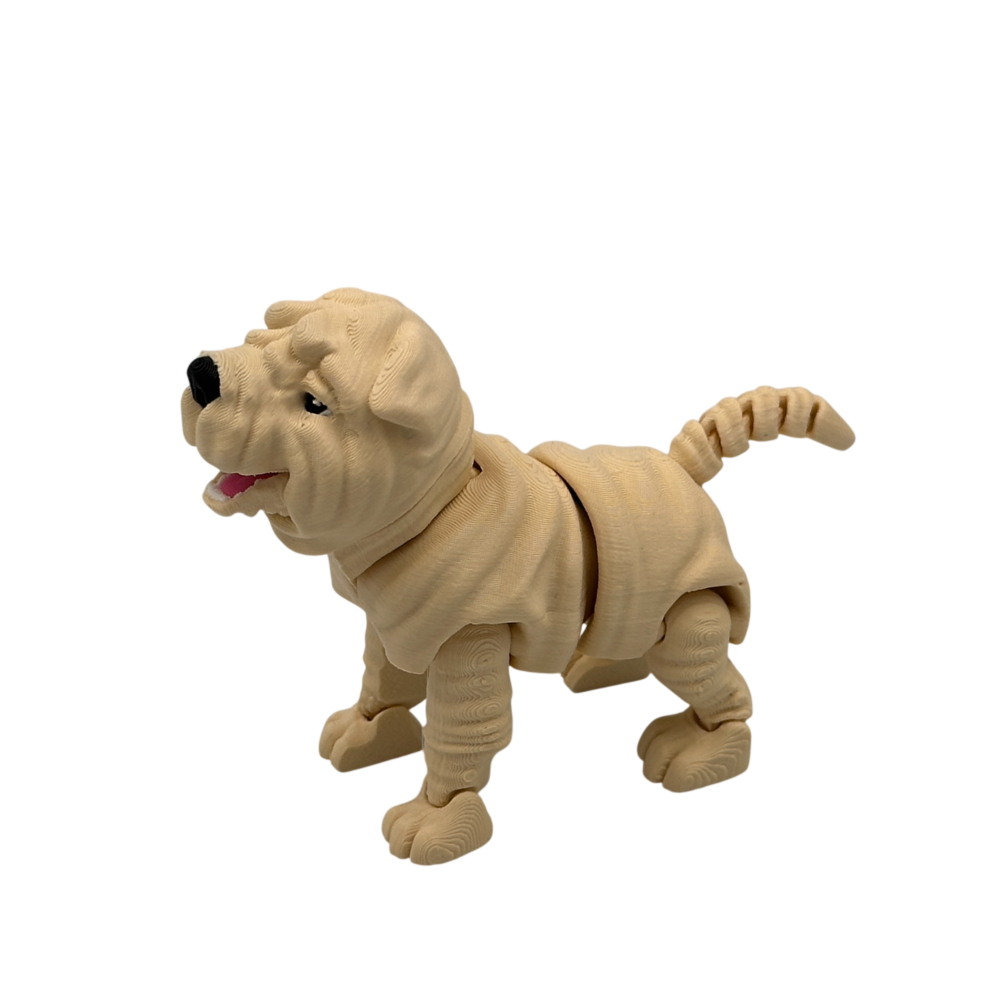 Louis, the Shar Pei