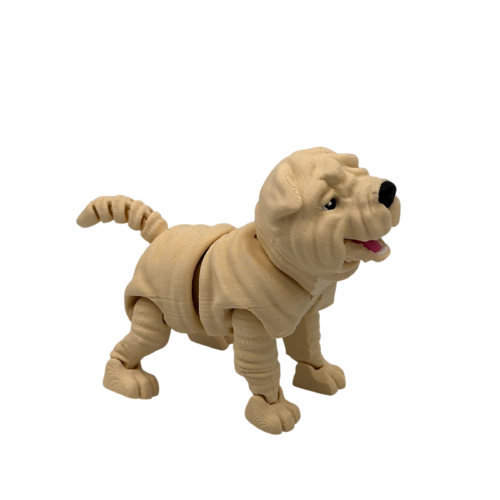 Louis, the Shar Pei