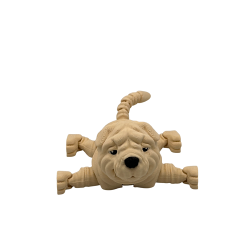 Louis, the Shar Pei