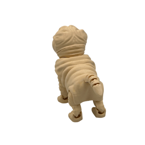 Louis, the Shar Pei