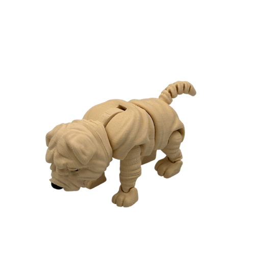 Louis, the Shar Pei