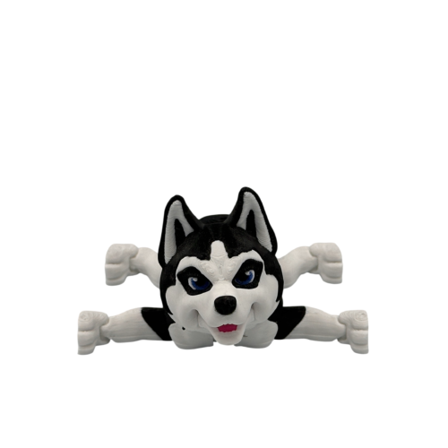 Maya the Husky