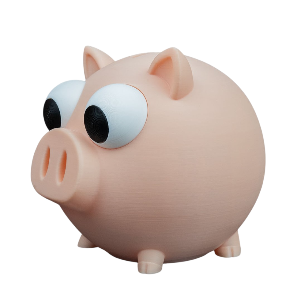 Oinkcome Coin Bank