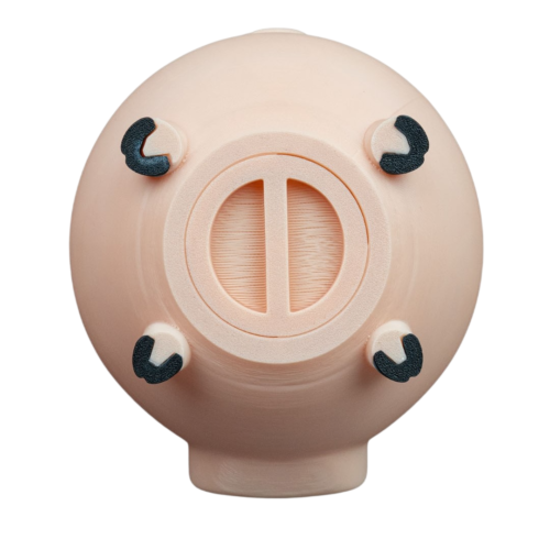 Oinkcome Coin Bank