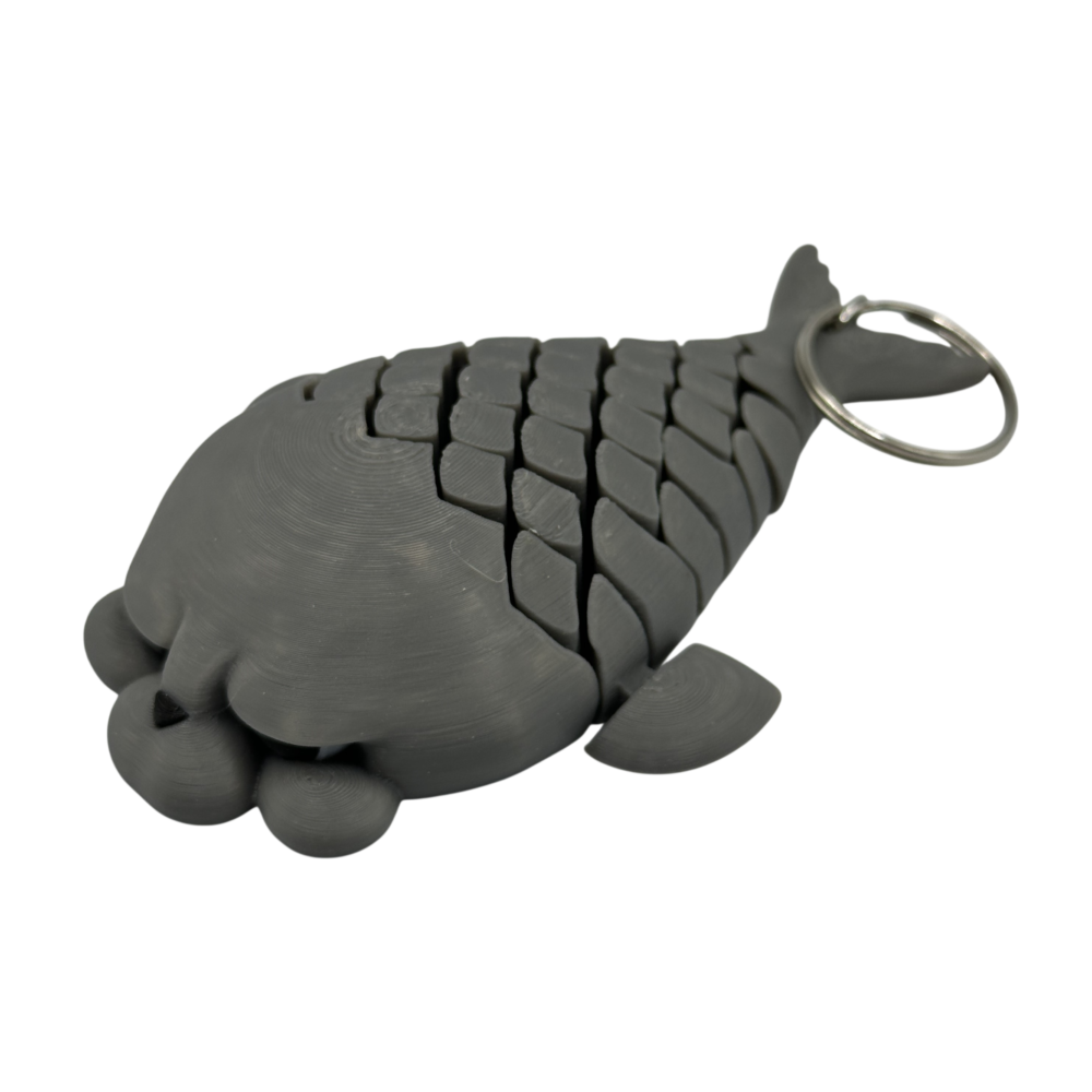 Phil, the Seal