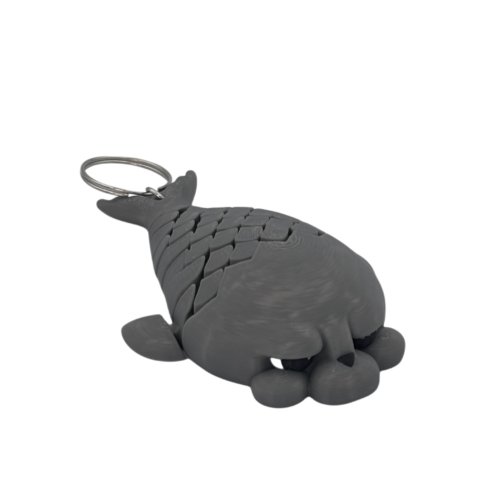 Phil, the Seal