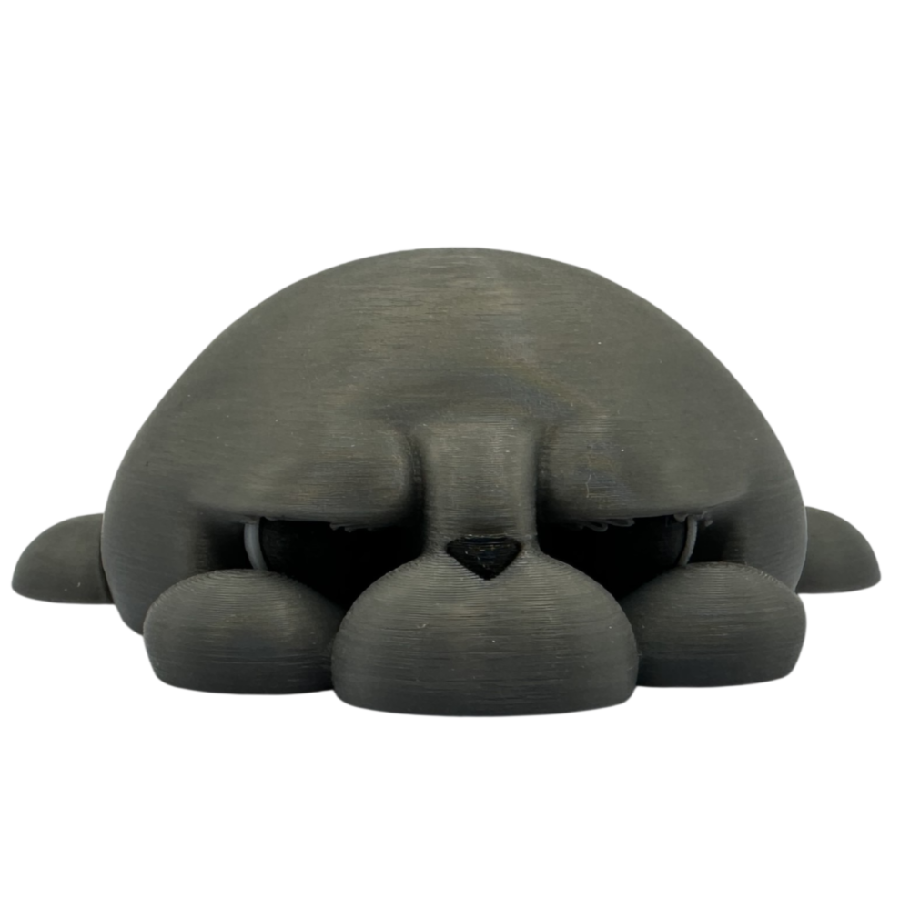 Phil, the Seal