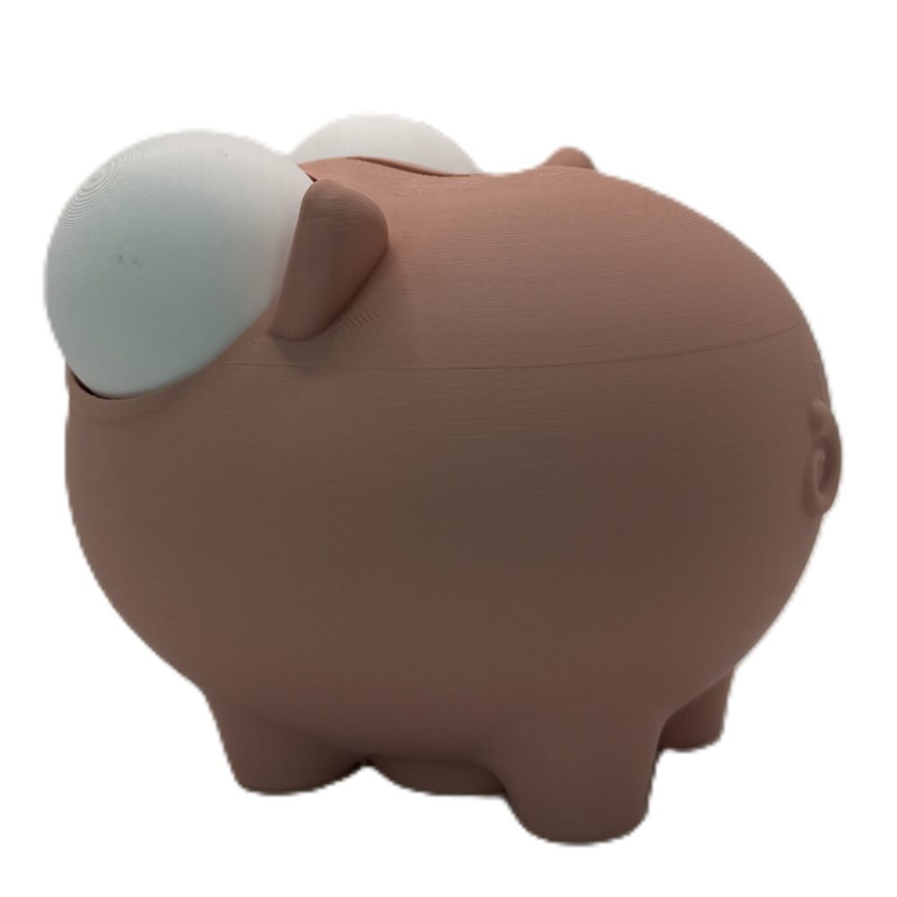 Pork Piggy Bank - Money Saving