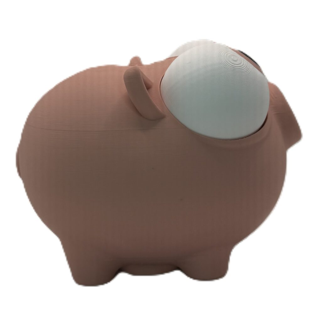 Pork Piggy Bank - Money Saving