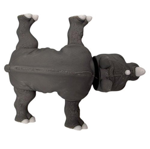 Rhino - Articulating